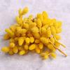 Yunnan Yongsheng Flor Mayoreo diy Flor Yongsheng Fruta de Mora Semiseca Flor Preservada Fruta de Mora