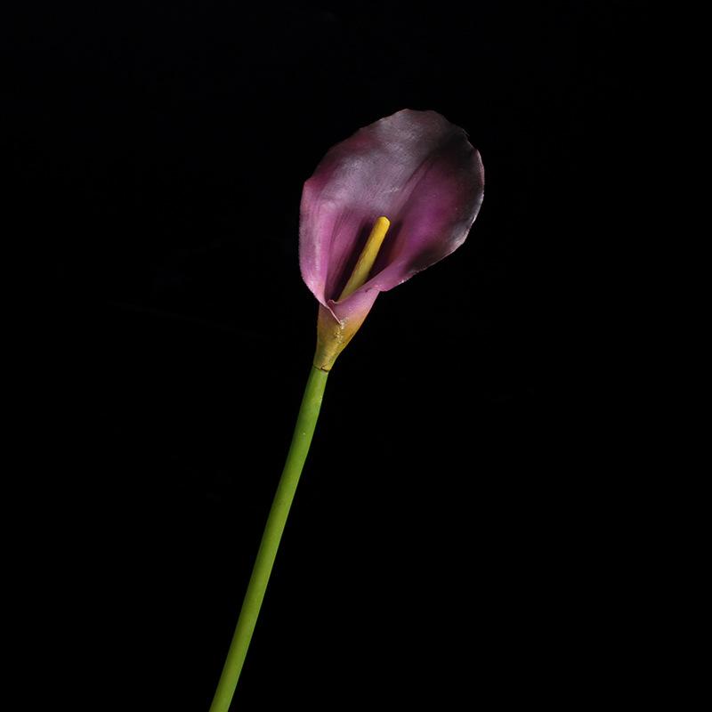 IMG_3459 拷贝