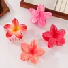 Presilha de Cabelo Flor de Ovo Super Fada Colorida Transfronteiriça para Traseira da Cabeça Rabo de Cavalo Presilha Jacaré Acessório de Cabeça da Moda para Mulheres