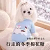 Ropa para Perros de Otoño e Invierno Estilo Coreano Linda Suéter de Punto Suave de Dos Patas Perro Teddy Pequeño y Mediano Ropa para Gato Mascota