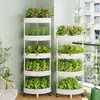 Conjunto de Caixas de Cultivo de Vegetais em Camadas para Varanda, Rack de Vegetais para Telhado, Vaso para Frutas Vermelhas, Suporte de Flores para Interior