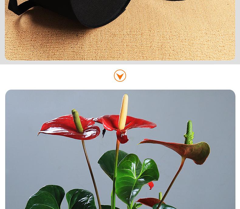 彩色种植袋2_15.jpg