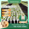 Tubo Quadrado de PVC Tubo de Plantio Hidropônico Estufa Cultivo Sem Solo Tubo Quadrado Tampa Aberta 110*50 Plástico Tubo Hidropônico Branco