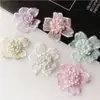 Frete Grátis Novo Botão de Flor Fofo Acessórios para Vestuário DIY Artesanal Renda Decorativa Adesivos de Tecido Roupas Chapéus Acessórios Flores Tridimensionais