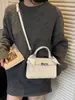 Bolsas de Nicho Coreanas, Bolsas Transversais, Bolsas Populares para Mulheres, Bolsas de Mão Versáteis de Alta Qualidade, Bolsas de Ombro Tipo Saco Simples e Casuais