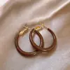 Pendientes Maillard Marrones Otoño e Invierno 2025 para Mujer Estilo Hong Kong Moda Retro Temperamento Pendientes de Piedra Ojo de Tigre Accesorios para Orejas