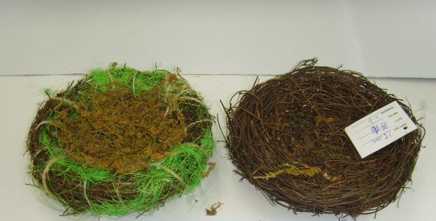 7f92f82e245a3ddc729df9620c1d15