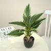 Plantas artificiales de hoja perenne transfronterizas para decoración de paisajismo, plantas artificiales, hojas de vid verdes, plantas en maceta, adornos de escritorio, plantas verdes falsas