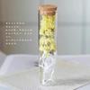 Te envío un pequeño tubo de ensayo de vidrio con una flor roja seca, ramo de flores secas, botella de los deseos eterna, espécimen, regalo de boda, graduación, cumpleaños