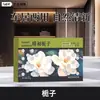 Ambientador de coche Gardenia, bloque de aroma, bálsamo, tipo oculto para el hogar, eliminación de olores, anticongelante, larga duración, gran capacidad