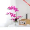 Bonsai de orquídea Phalaenopsis de 26 cabeças, decoração de sala de estar, flores decorativas cor-de-rosa, decoração de casa, vaso com letras, planta verde decoração suave