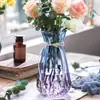 Vaso Vidro Transparente Sala de Estar Arranjo de Flores Escandinavo Hidropônico Bambu Rico Moderno Simples Garrafa de Flor Seca Cultura em Água Rabanete Verde Grande