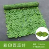 Malla de Valla de Hojas Verdes Artificiales de Plástico Transfronteriza Valla de Hojas de Planta Verde Falsa Decoración de Patio Exterior Potos Trepador Tigre