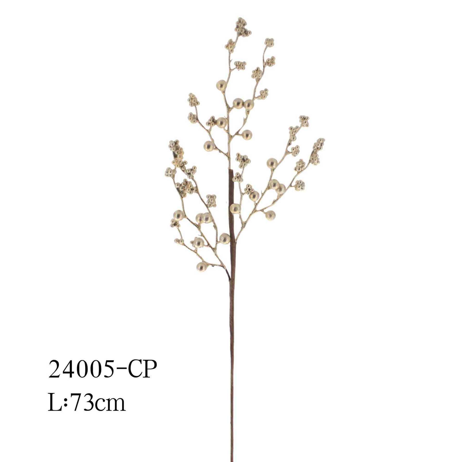 24005-CP-size.jpg