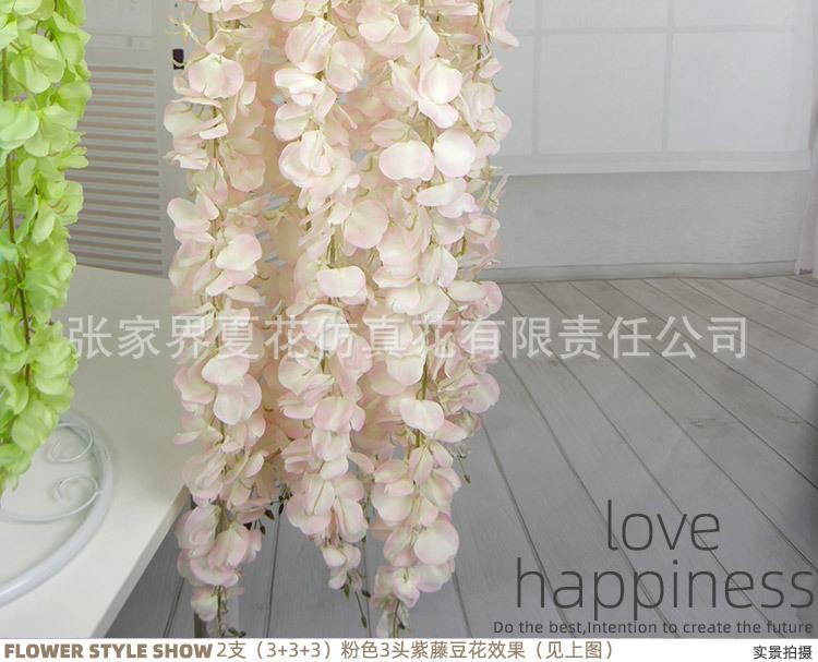 3头豆花紫藤_26.jpg