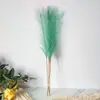 Juncos Artificiais Atacado Capim-dos-Pampas Decoração de Cena de Casamento Sala de Estar Capim-rabo-de-raposa Fogos de Artifício Diurnos