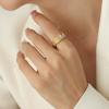 Anillo de Cola Versátil Estilo Ins Francés con Raya de Circonitas Incrustadas para Blogger Anillo Caliente Regalo para Chica A397