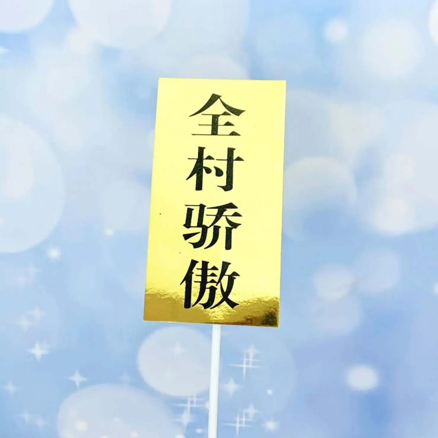 全村骄傲.jpg