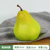 Pera fragante Korla falsa, pera, manzana, pera, fruta, modelo, decoración del hogar, boceto, accesorios de fotografía, pera de simulación al por mayor