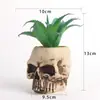 Decoración de calavera de resina Halloween calavera suculenta bonsái suministro transfronterizo escena navideña regalo