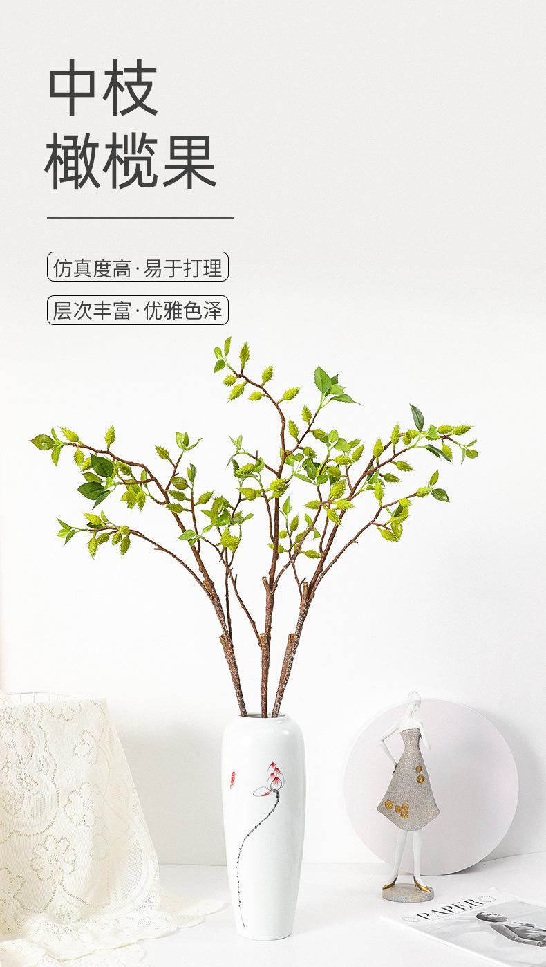 中枝橄榄果详情图