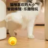 Juguete para gato nuevo transfronterizo, bola resistente a mordidas, alivia la congestión, bola divertida para gato, bola de juguete para mascota con gravedad, rodante inteligente y saltarina