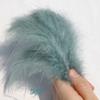 Celebridade da Internet Cauda Pontiaguda Veludo Penas Penas de Peru DIY Brincos Colar Acessórios de Joalheria Pequenas Penas Fabricante Atacado