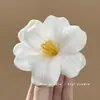 Presilha de Cabelo Fresca e Estilosa, Perfeita para Fotos, para Mulheres, Presilha de Cabelo Borboleta Orquídea, Moderna e Versátil, Acessório de Cabelo de Alto Valor, Presilha Lateral Dopamina