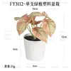 En Stock Hoja Única de Planta Verde Plástico Bonsái Decoración del Hogar Amazon Escritorio Maceta Adorno Pequeño Fabricante de Comercio Exterior