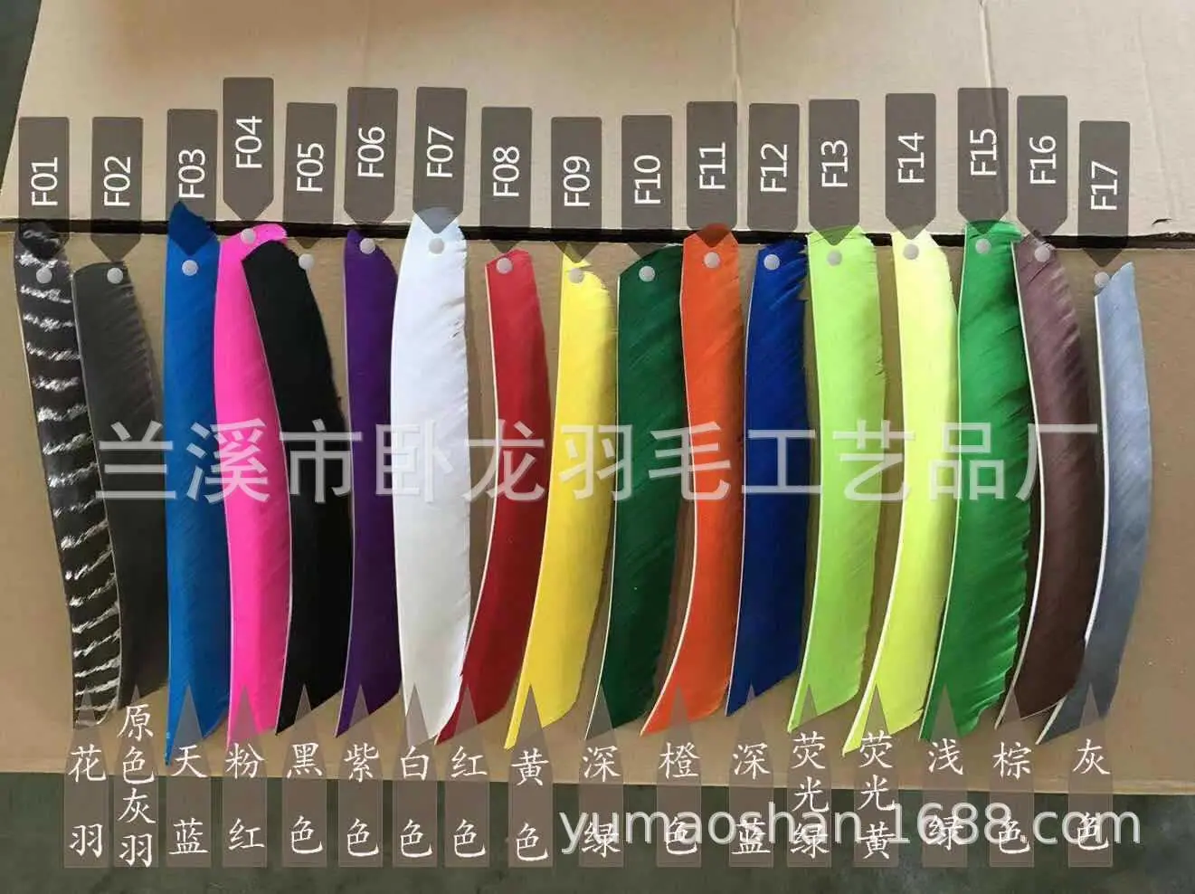 整根 (23)