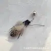 Palo Juguete para Gatos con Cuerda de Acero, Caña Juguete para Gatos con Cabeza de Insecto Volador de Repuesto, Autoentretenimiento para Gatitos, Alivio del Aburrimiento, Resistente a Mordeduras para Uso en Mascotas