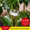 Clipe de fixação de planta, clipe de enxerto, dispositivo de levantamento, clipe de tomate, clipe de planta, clipe de plástico