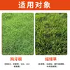 Set Laien Ping'An Jinbaixiu: Sulfuron-Etilo y Sulfuron, Herbicida para Césped de Temporada Cálida e Inhibidor de Hierbas de Hoja Ancha