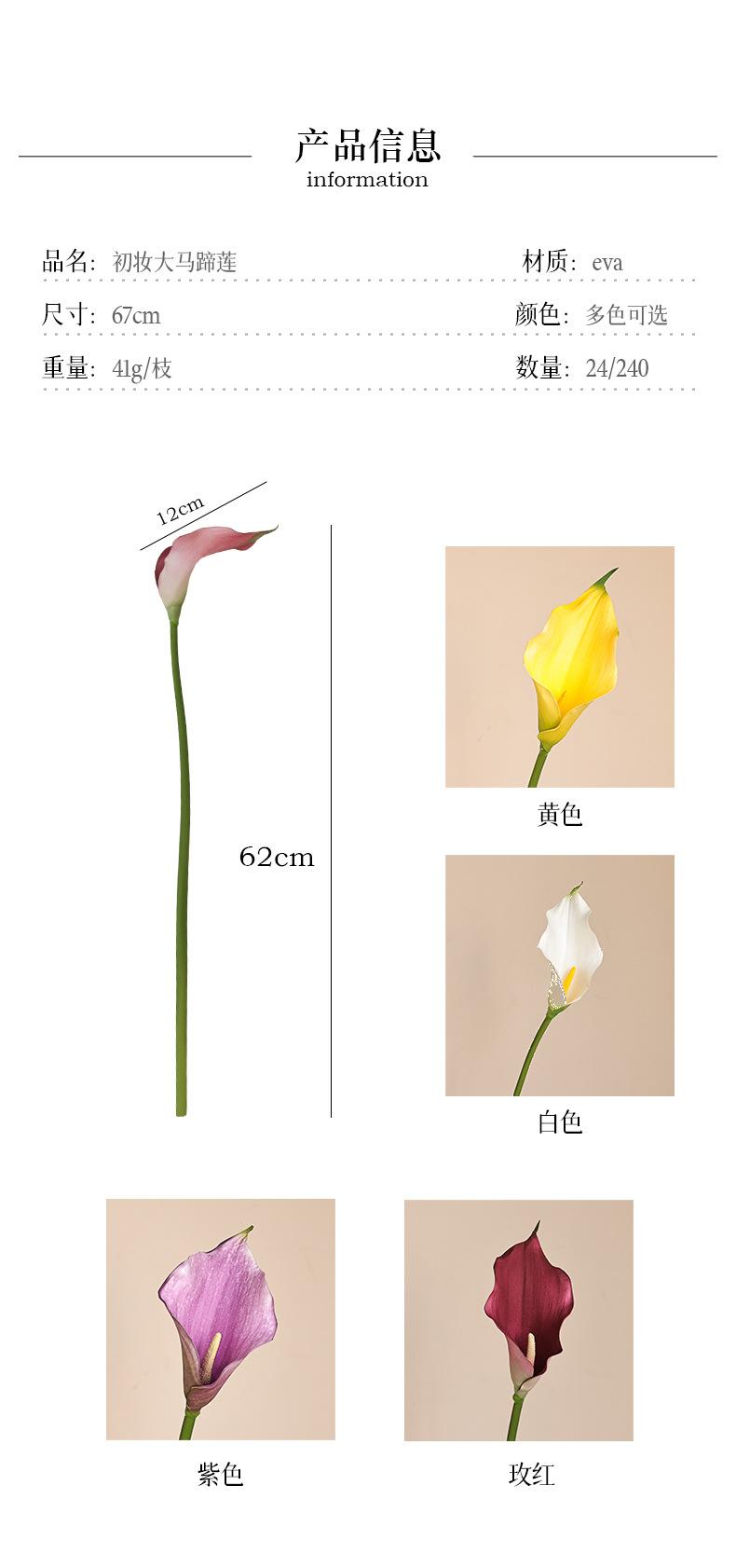 初妆大马蹄莲_03.jpg