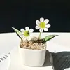 Enfeites de Vidro Zibo, Plantas Suculentas em Vasos, Plantas Verdes de Vidro, Presentes de Flores de Dezembro, Artesanato para Decoração de Escritório
