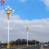 Lámpara china 6 metros 8 metros 10 metros poste medio y alto cuadrado farola municipal lámpara Magnolia combinación lámpara de paisaje lámpara china personalización