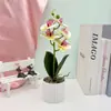 Nuevo Piedra Yuhua Phalaenopsis de 5 Flores Bonsái Decoración de Interiores Flor Artificial en Maceta Diseño de Hotel Restaurante Plantas Verdes Simuladas