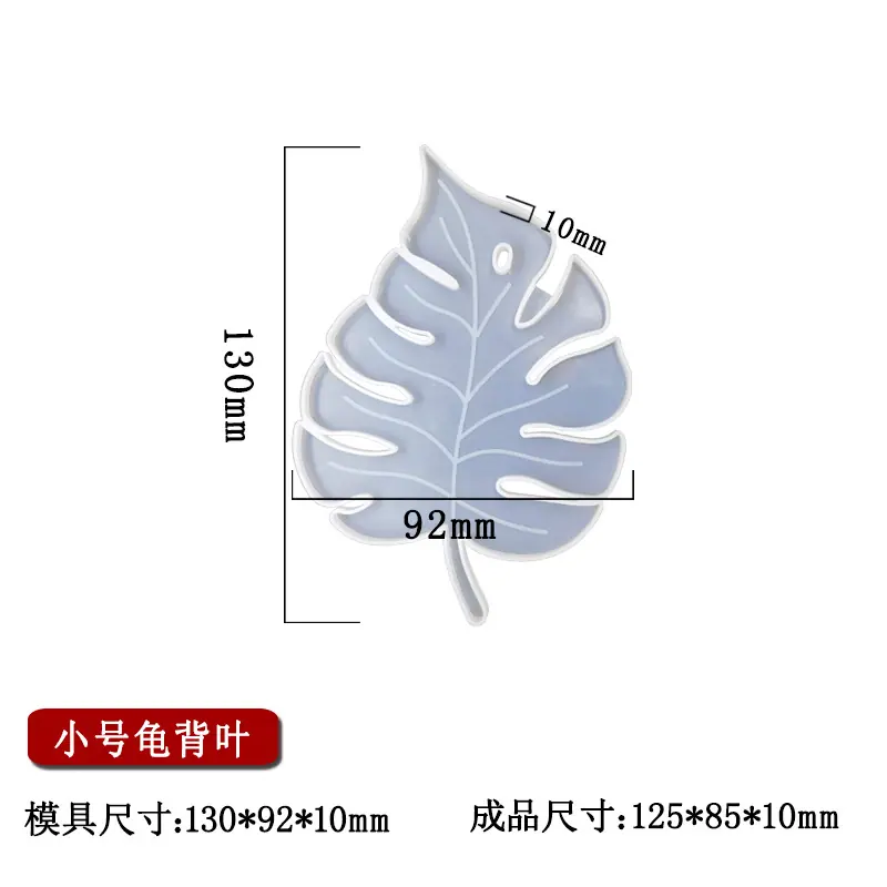小号龟背叶