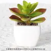 Suculentas Simuladas Personalizadas Cerámica Bonsái Plantas Verdes Escandinavas Adornos Hogar Interior Sala de Estar Flores Falsas Suculentas Plantas en Maceta