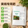 Fertilizante Especial para Buxus Fertilizante Granulado Fertilizante Granulado Geral para Bonsai Plantas Verdes Promove Novos Brotos Melhora o Brilho Tronco Antigo Fertilizante Nutritivo para Buxus