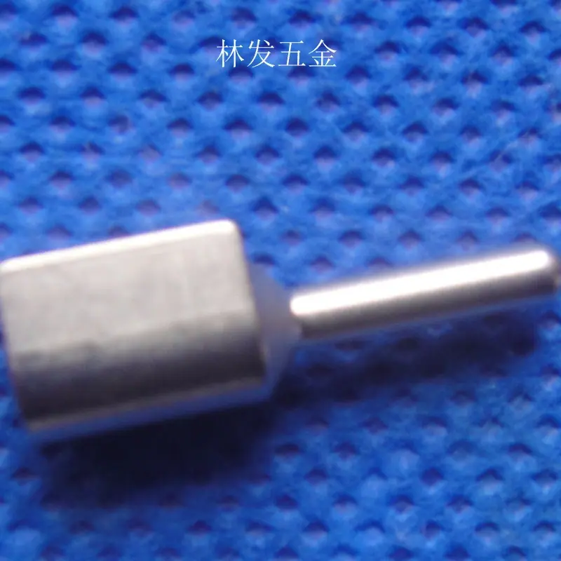 DSC04813.JPG