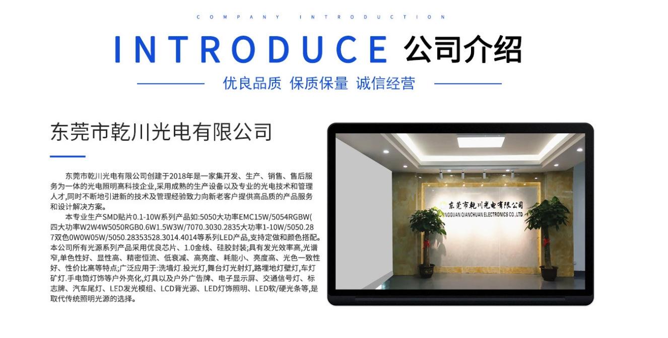 公司介绍