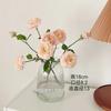 Vaso de Vidro Hidropônico de Mesa com Boca Larga Estilo Europeu Flores Transparentes Simples Arranjo de Flores Secas Flor Rosa Decoração de Sala de Estar Frete Grátis