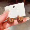 Nuevos Pendientes Metálicos de Moda 2025, Pendientes Personalizados de Moda Estilo Hong Kong, Lujo Accesible Estilo Coreano, Pendientes de Alta Gama y Elegantes para Mujer