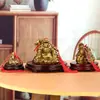 Adorno de Dragón Tortuga Madre e Hijo de Latón Lingotes de Oro Cabeza de Dragón Tortuga Regalo de Inauguración para Hogar y Oficina Fabricante Mayorista