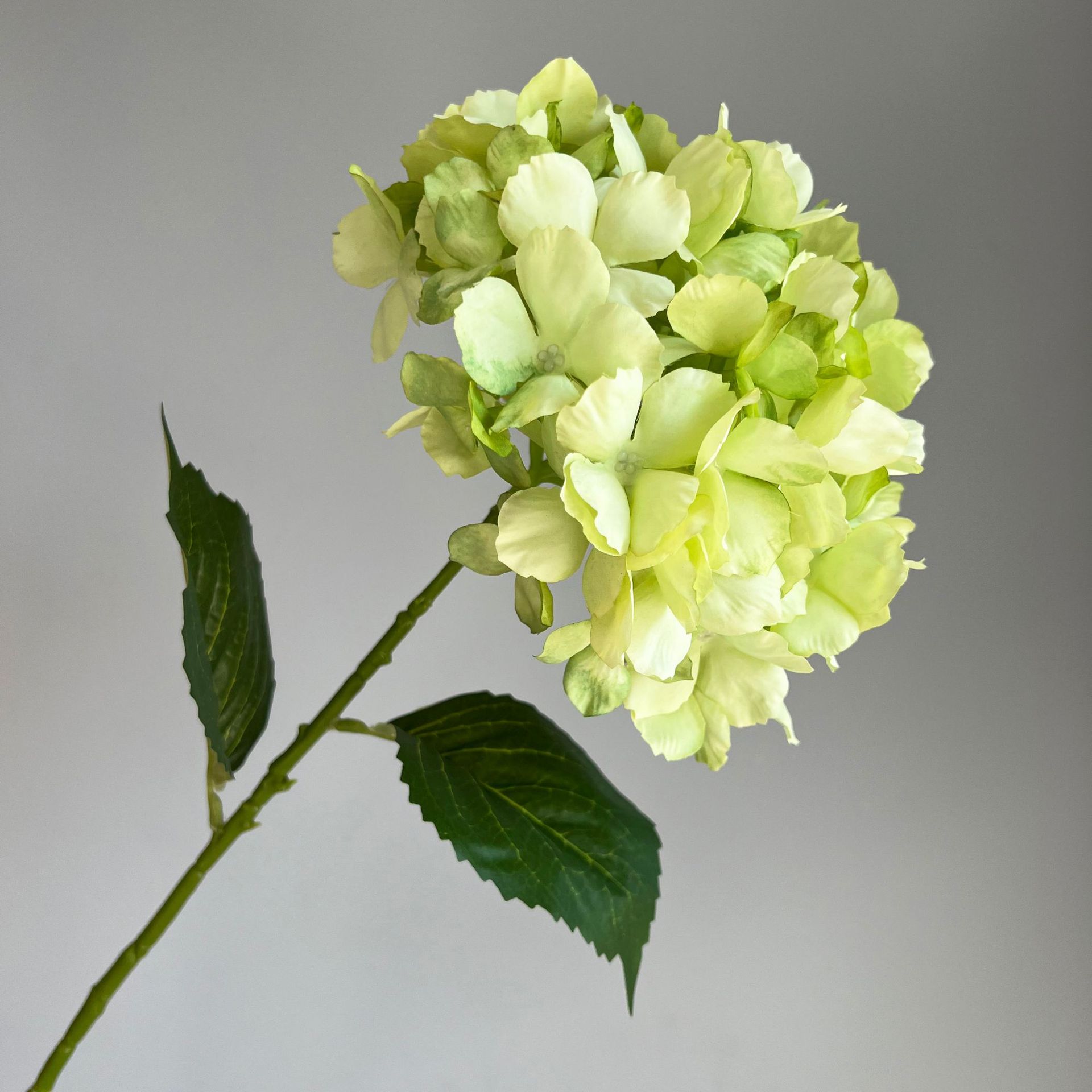 微信图片_20221206101407