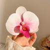 Simulação Flor Grampo de Cabelo Atmosfera Foto Acessórios para o Cabelo Roxo Phalaenopsis Grampo de Cabelo Verão À Beira-Mar Férias Franja Feminina