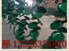 Guardarraíl Corrugado Accesorios Tapa Final Bloque Antichoque Perno de Poste Tapa de Poste Fabricante En Stock Soporte de Travesaño Delineador