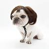 Pelucas para Mascotas para Gatos y Perros, Piezas de Cabello Falso Lindas y Divertidas con Flequillo, Trenzas Pequeñas, Cortes de Pelo Bob, Estilos de Diadema Nezha
