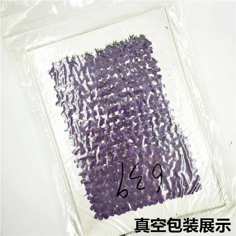 IMG20181220104505.jpg